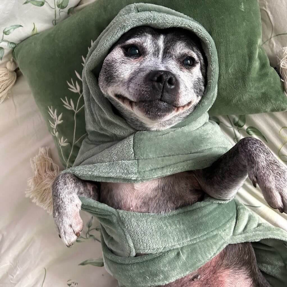 How our Snuggle Buddy robes can help calm anxious dogs.