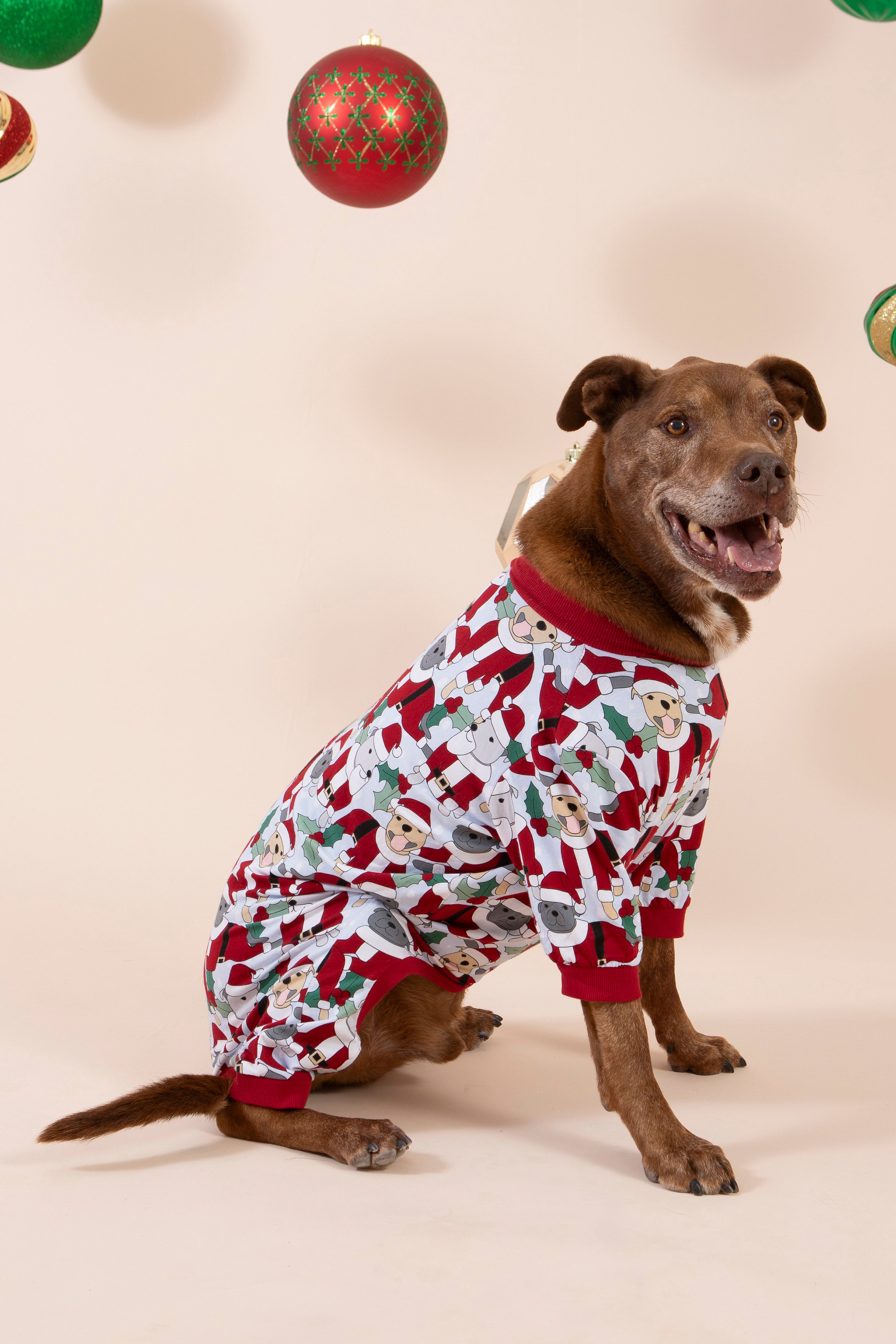 Santa Paws Dog Onesie