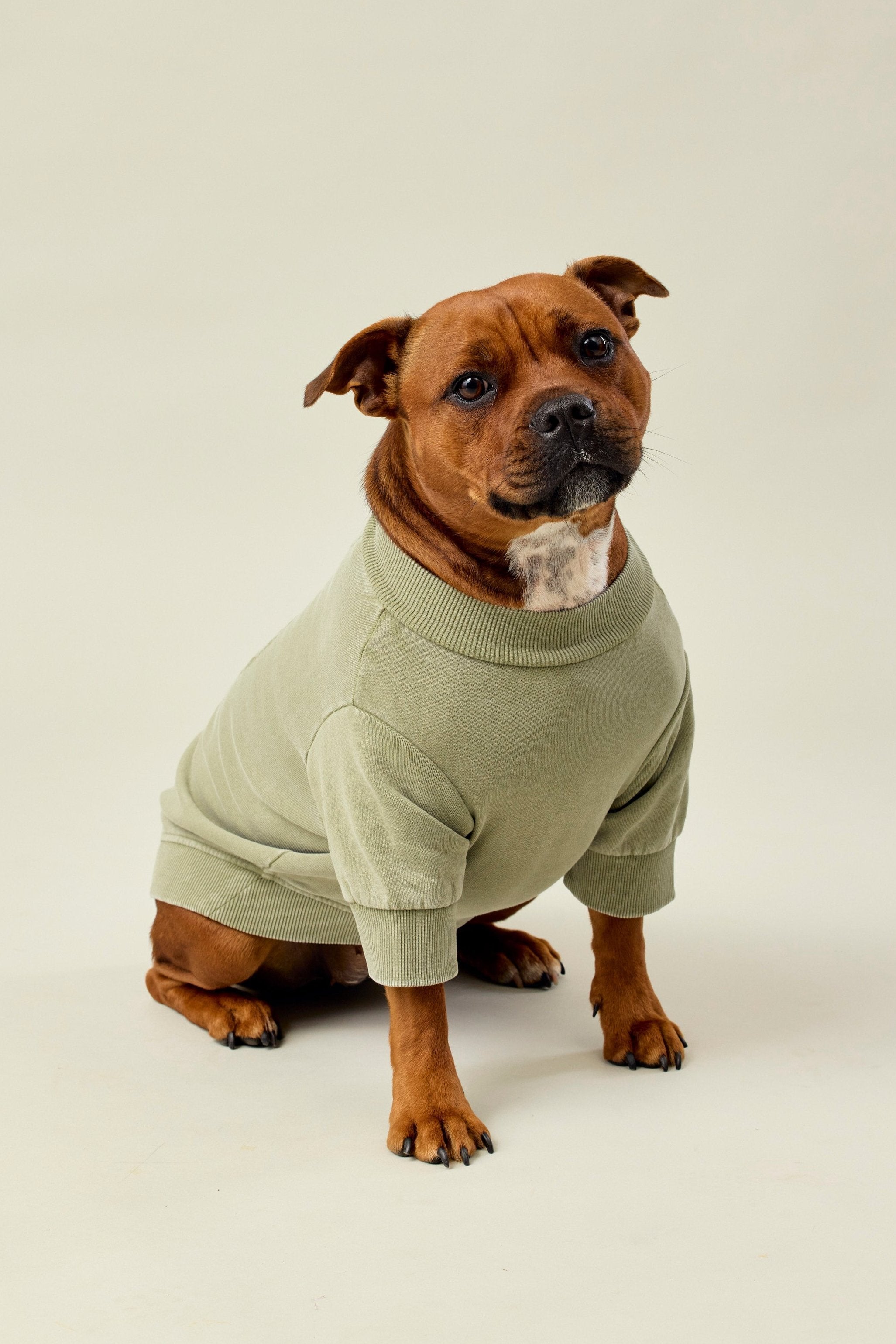 BFF Dog Sweat - Olive