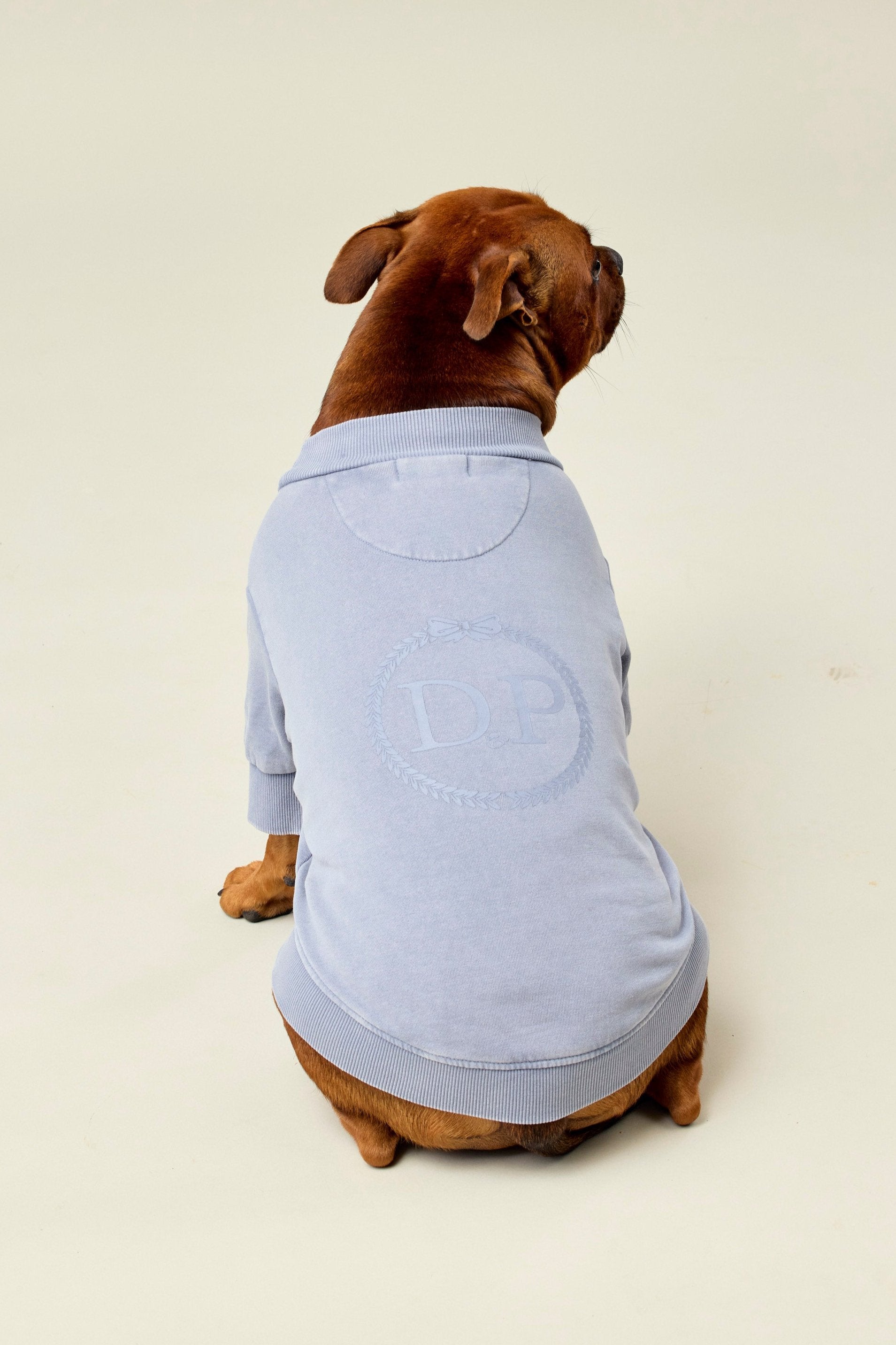 BFF Dog Sweatshirt - Slate