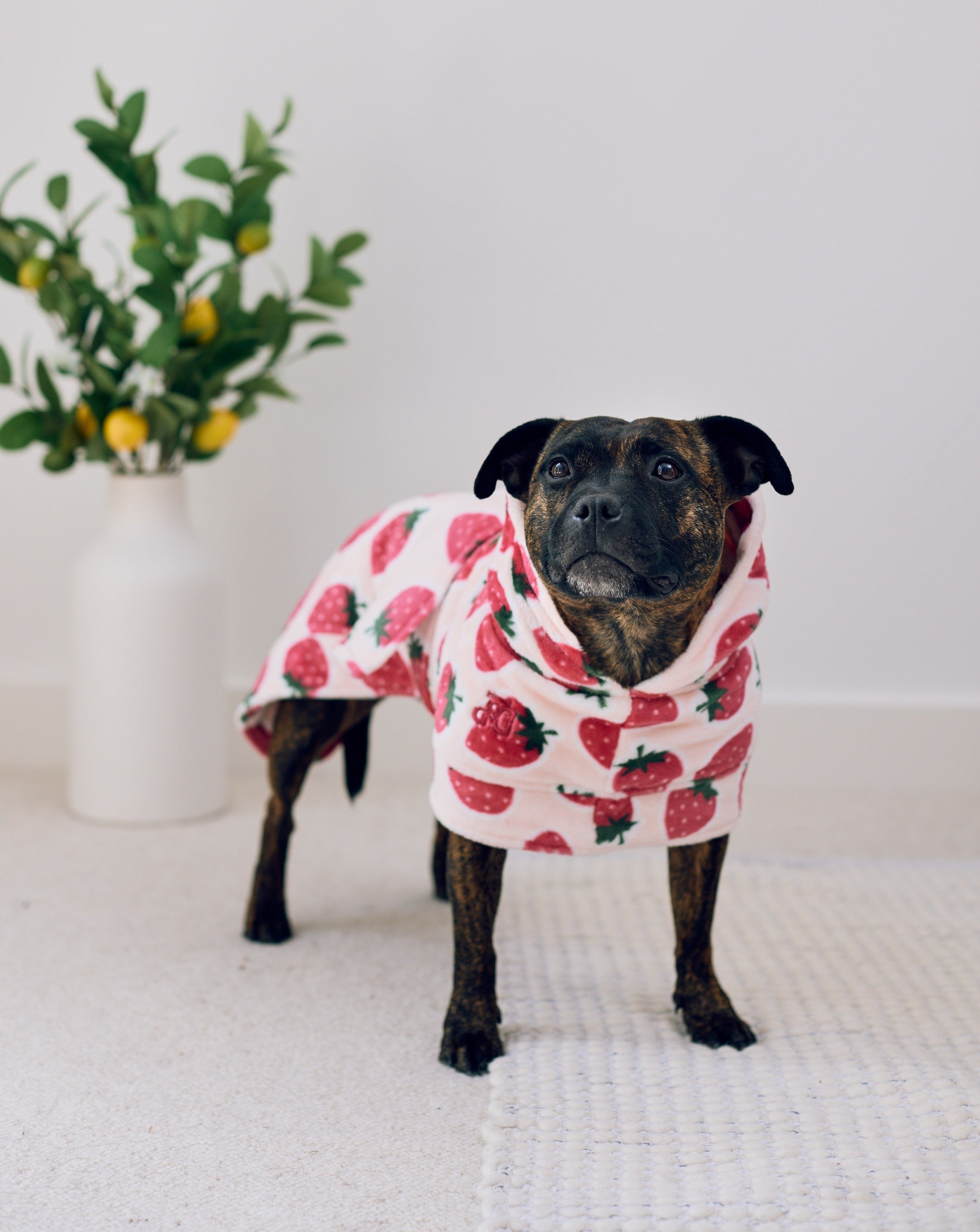 Cutie Frutti Dog Robe | Strawberry