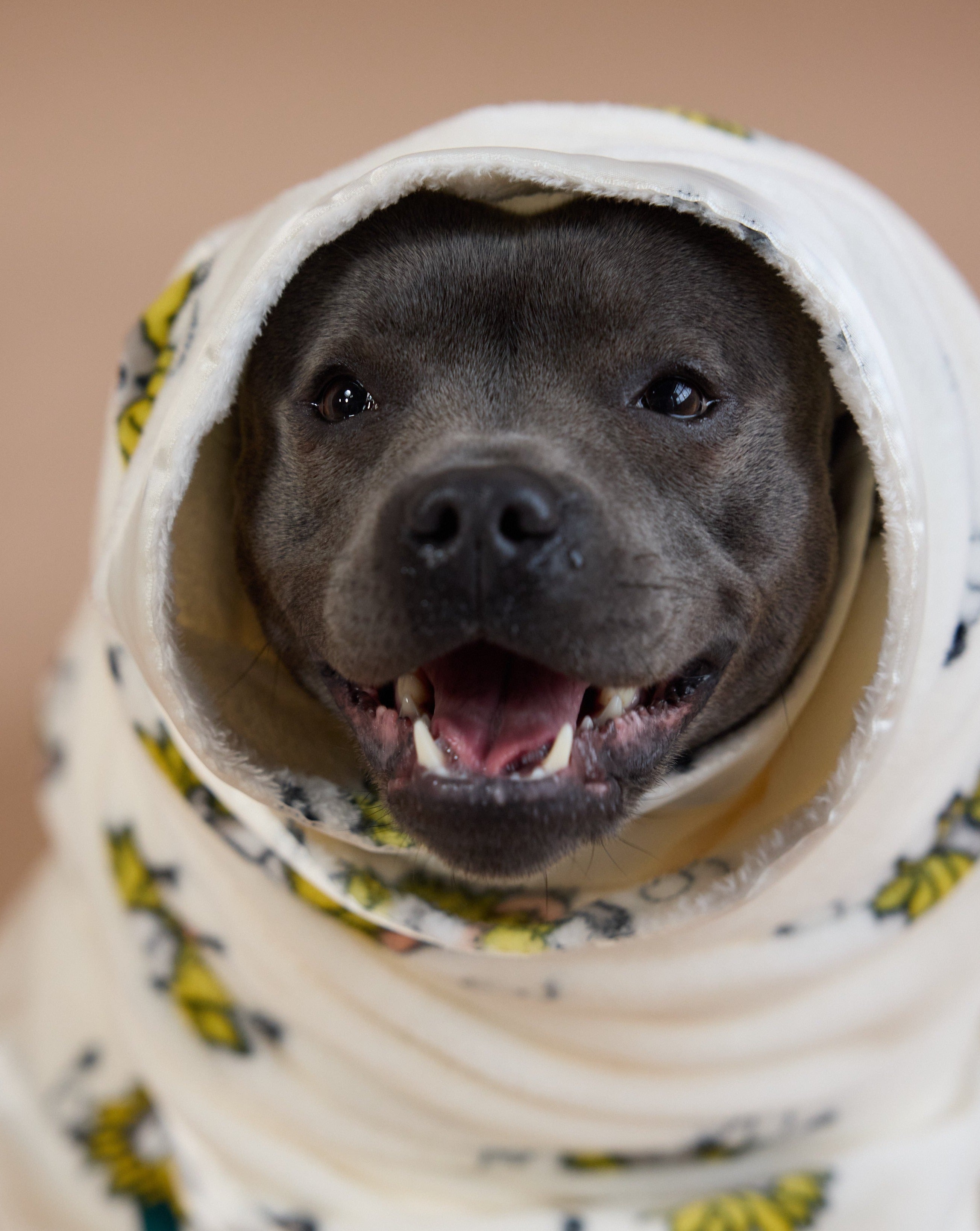 Penelope's Garden Snuggle Blanket