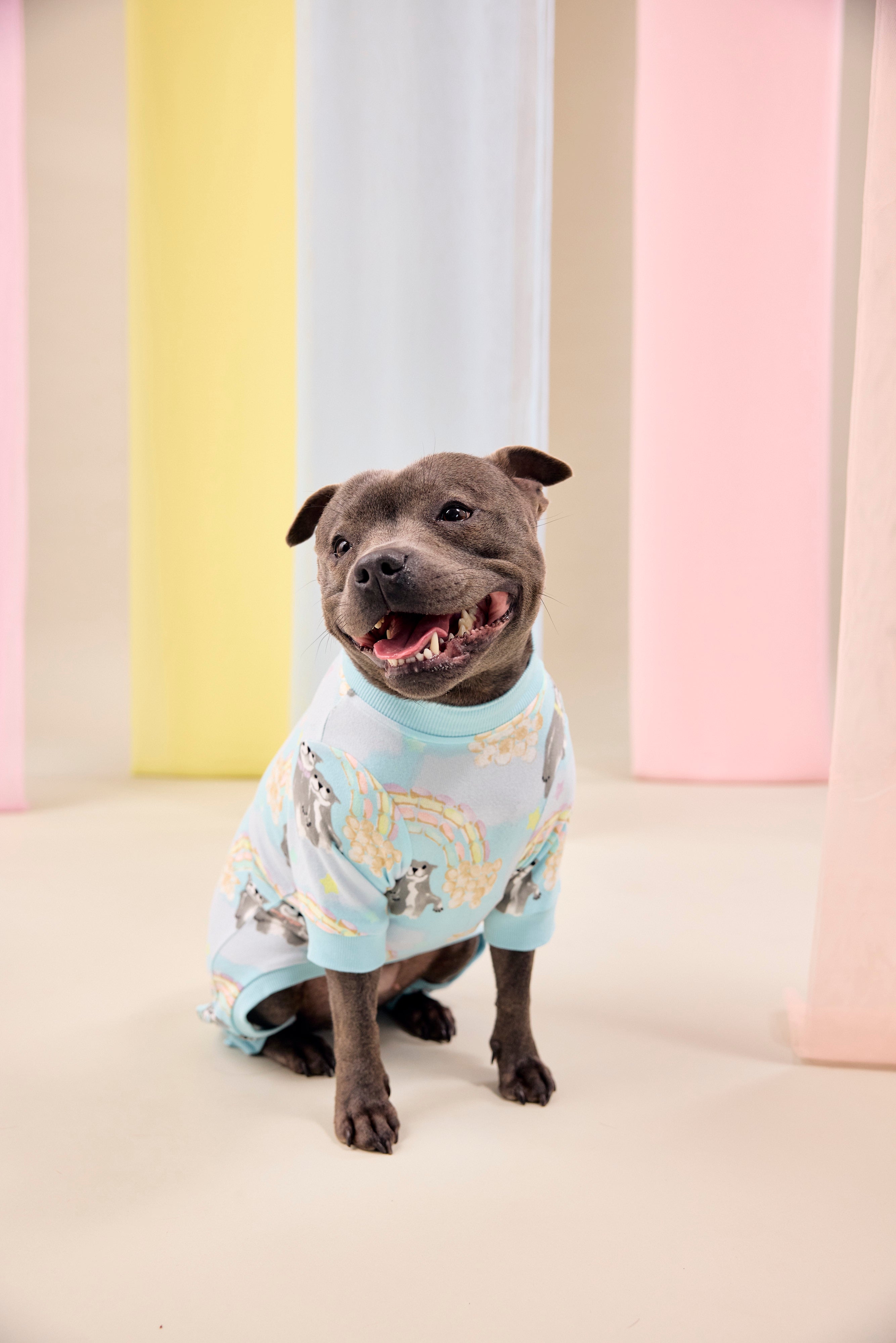 Sweet Rainbow Dreams Dog Onesie