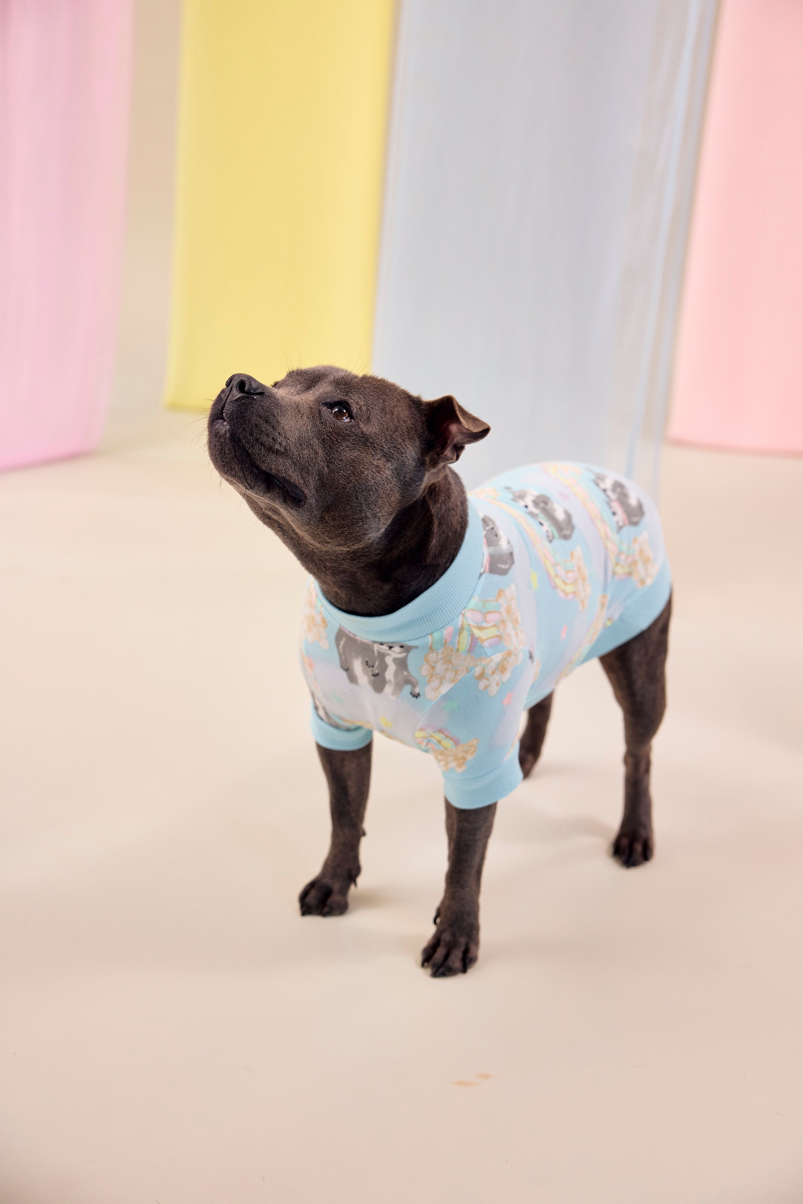 Sweet Rainbow Dreams Dog Tee