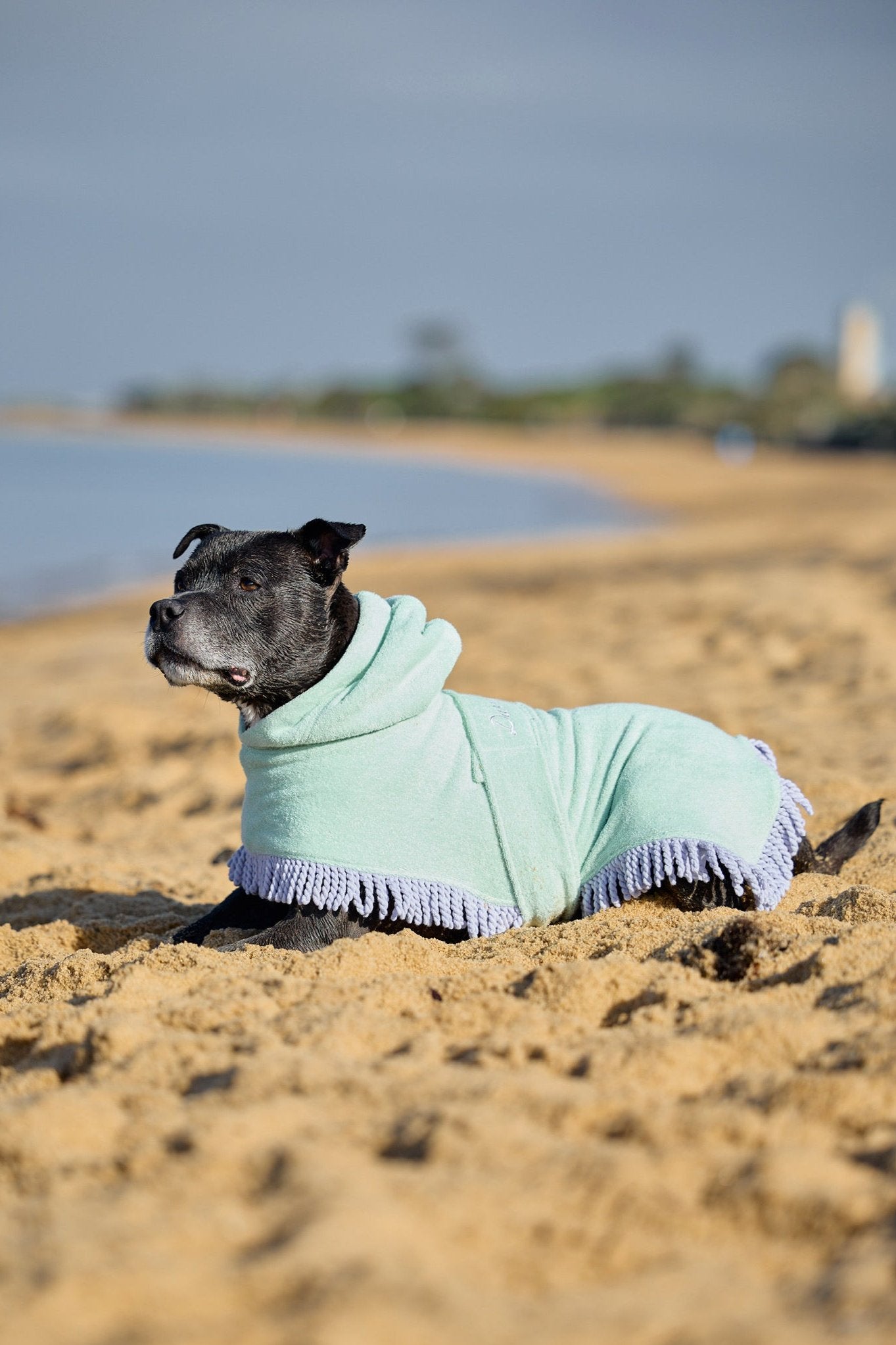 Tassel Towel Snuggle Buddy Dog Robe | Minty Green