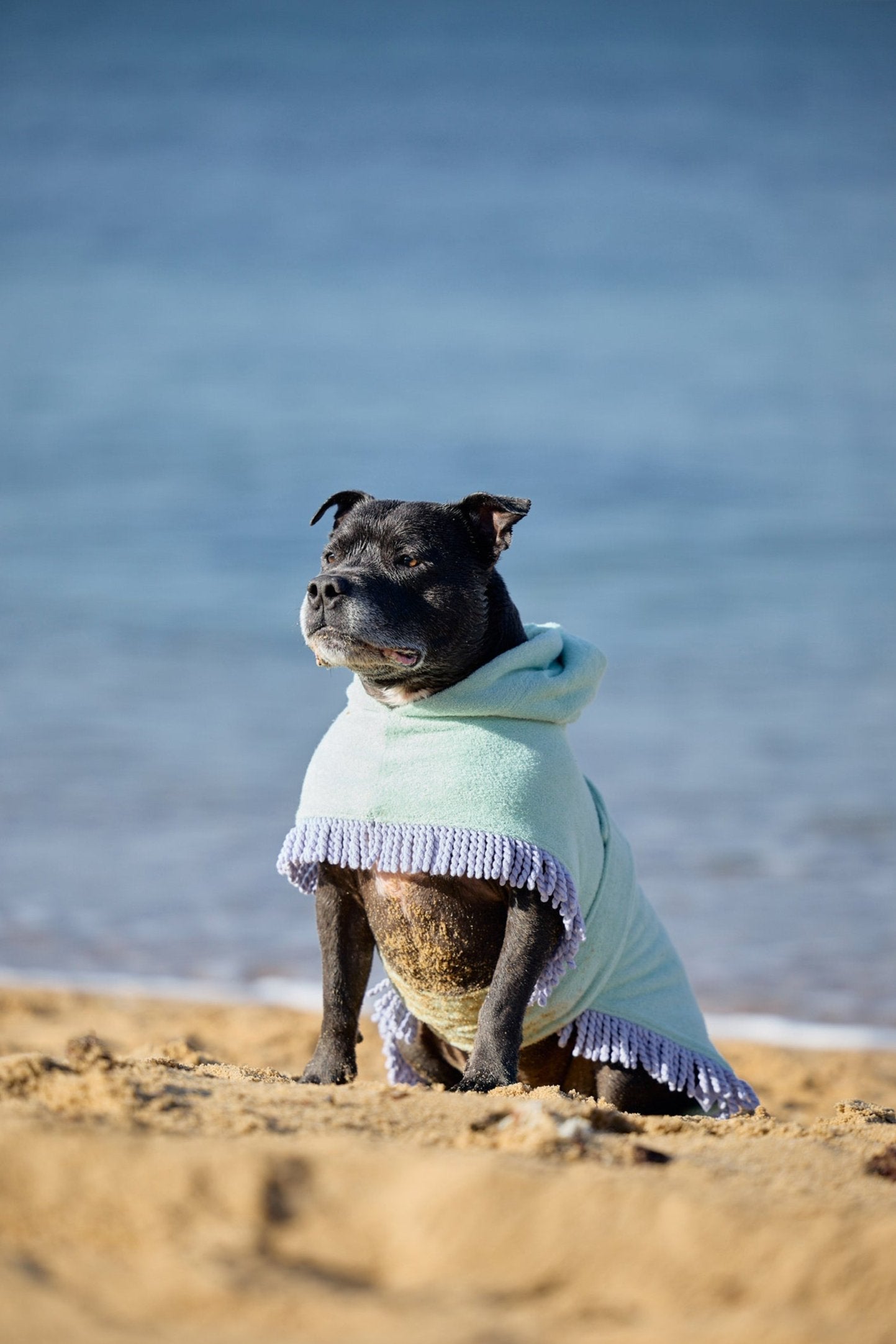 Tassel Towel Snuggle Buddy Dog Robe | Minty Green