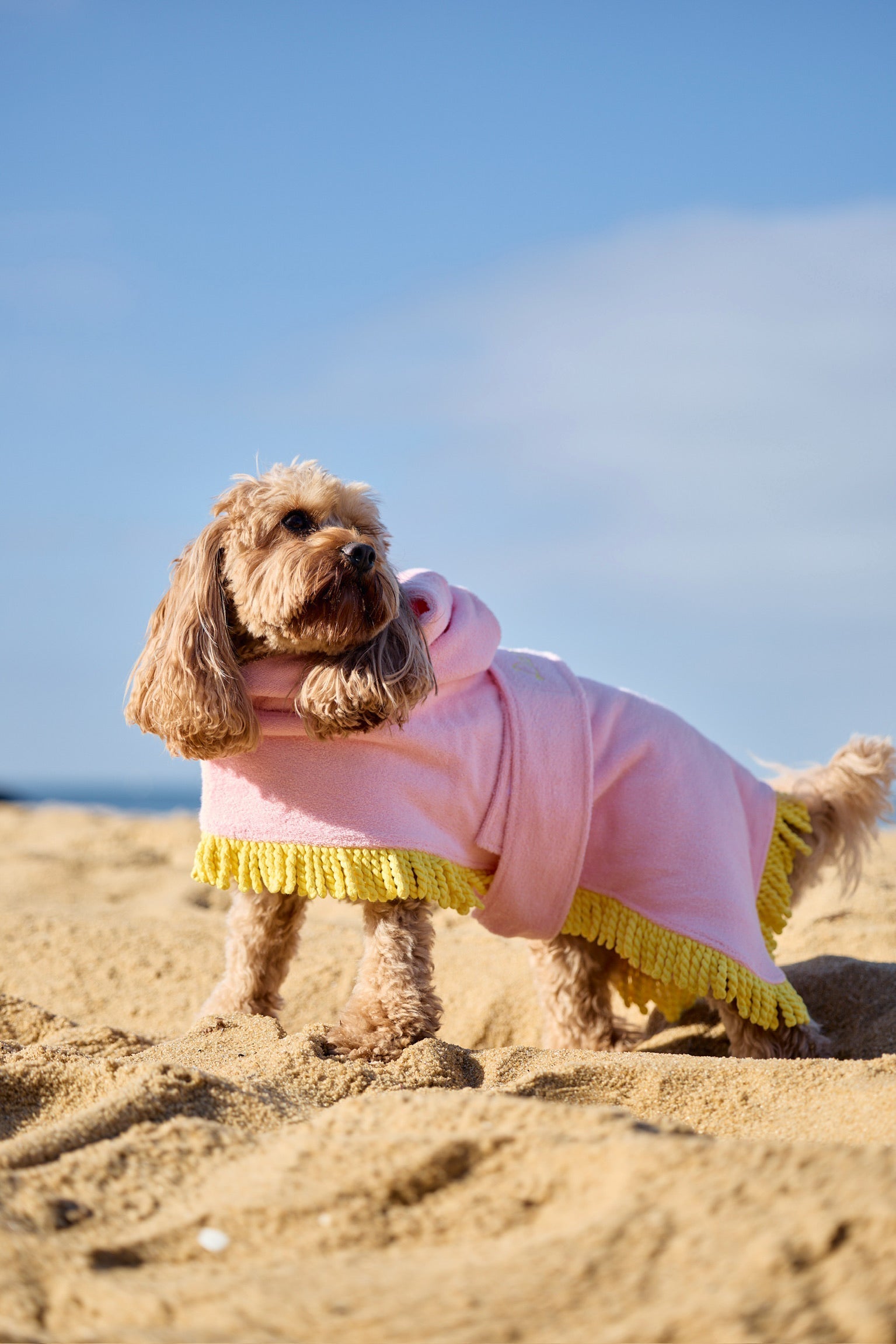 Tassel Towel Snuggle Buddy Dog Robe | Peachy Pink