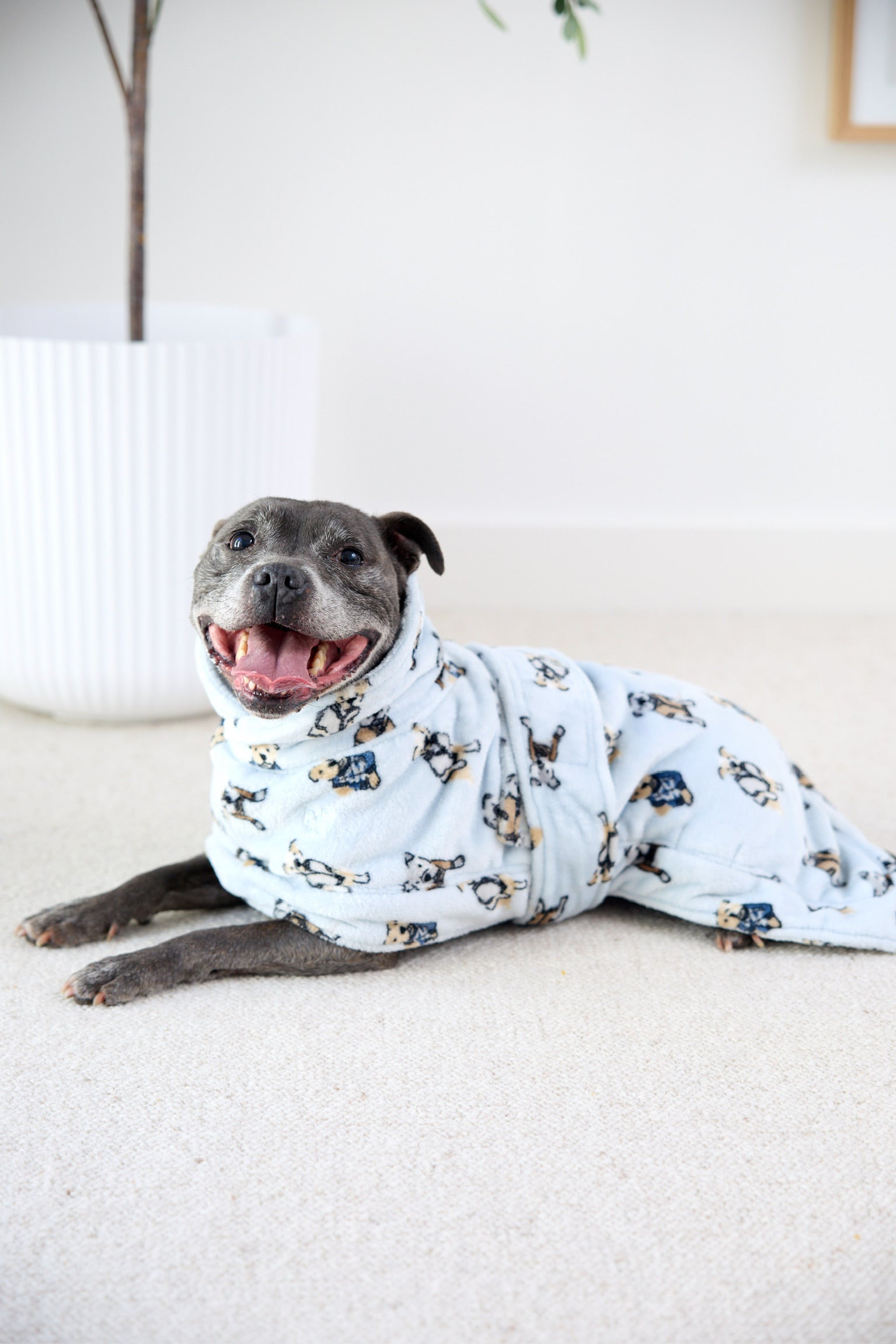 Preppy Pups Snuggle Buddy Dog Robe