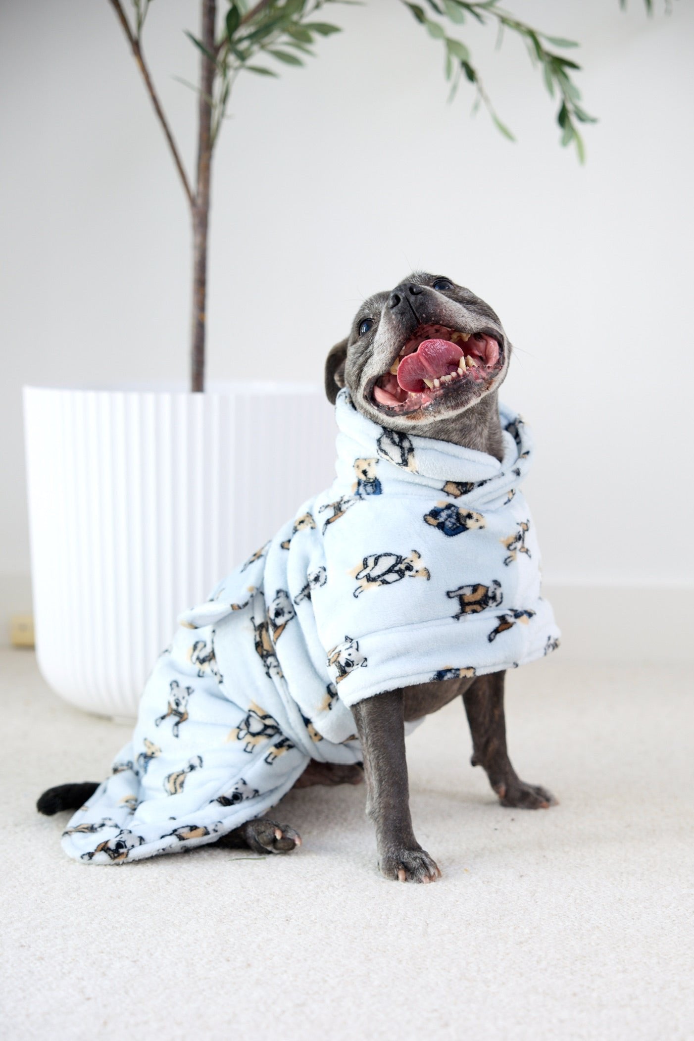 Preppy Pups Snuggle Buddy Dog Robe