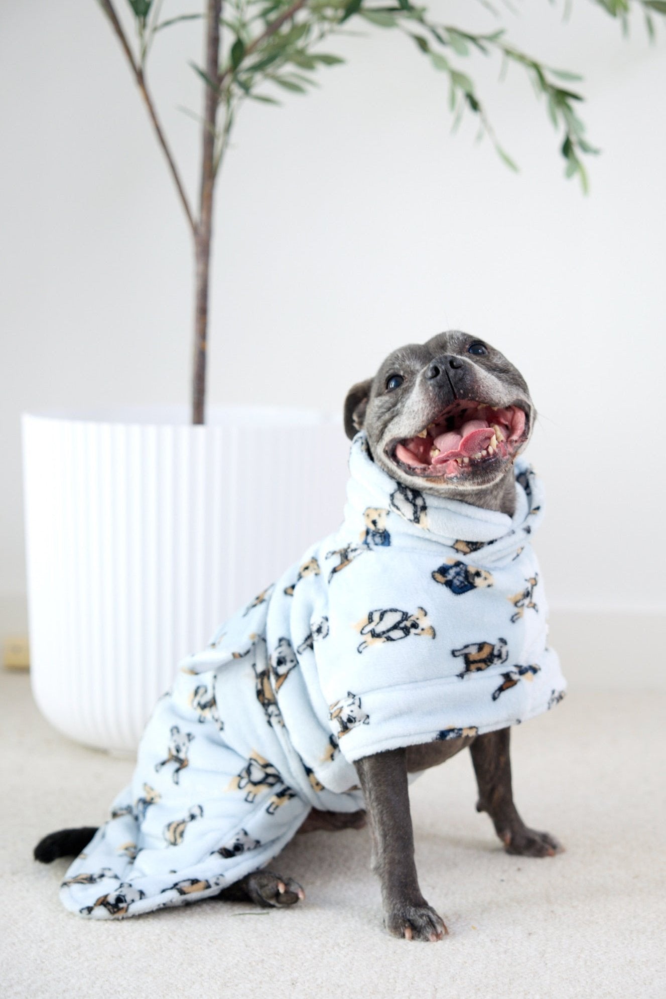 Preppy Pups Snuggle Buddy Dog Robe