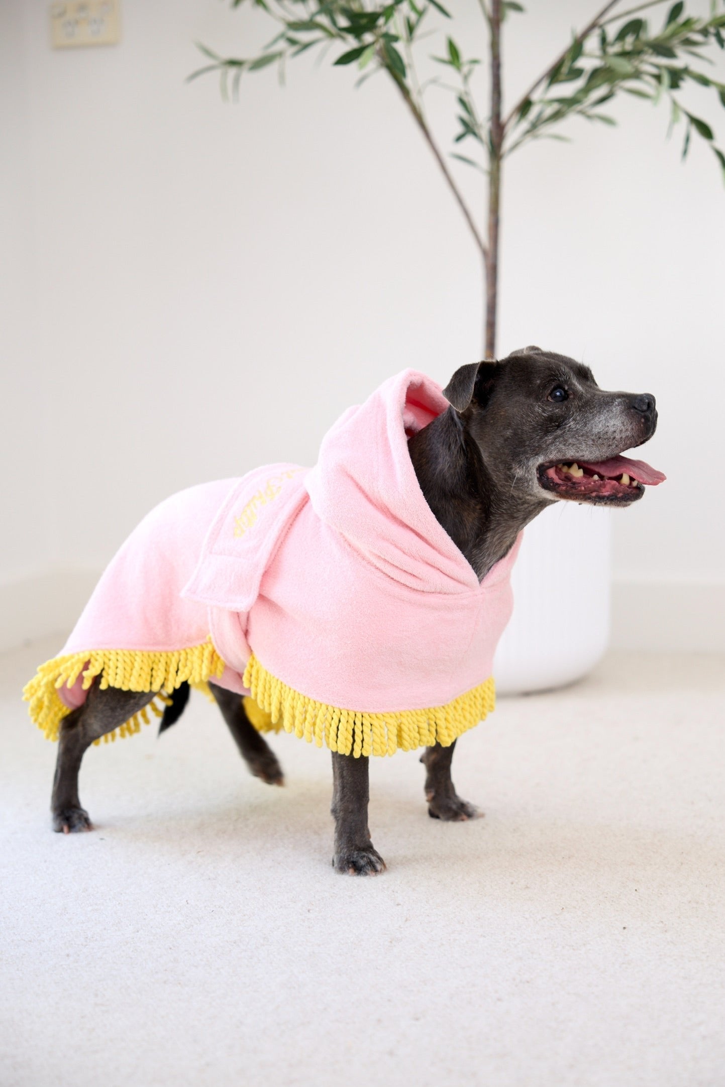 Tassel Towel Snuggle Buddy Dog Robe | Peachy Pink