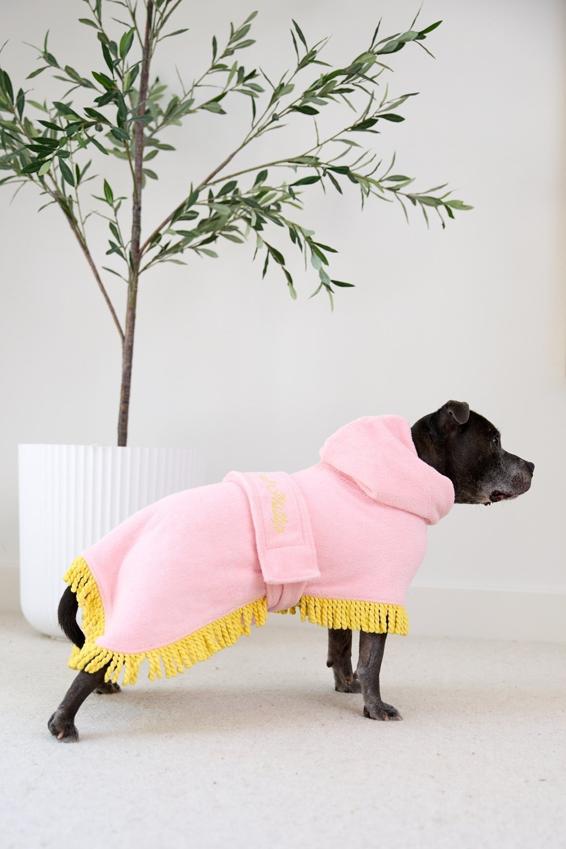 Tassel Towel Snuggle Buddy Dog Robe | Peachy Pink