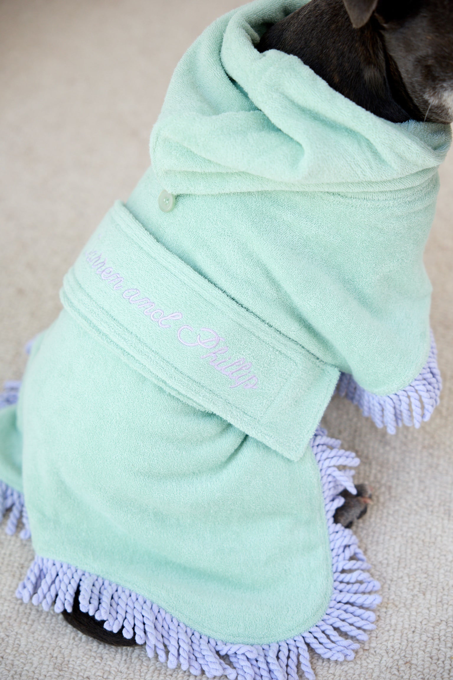 Tassel Towel Snuggle Buddy Dog Robe | Minty Green