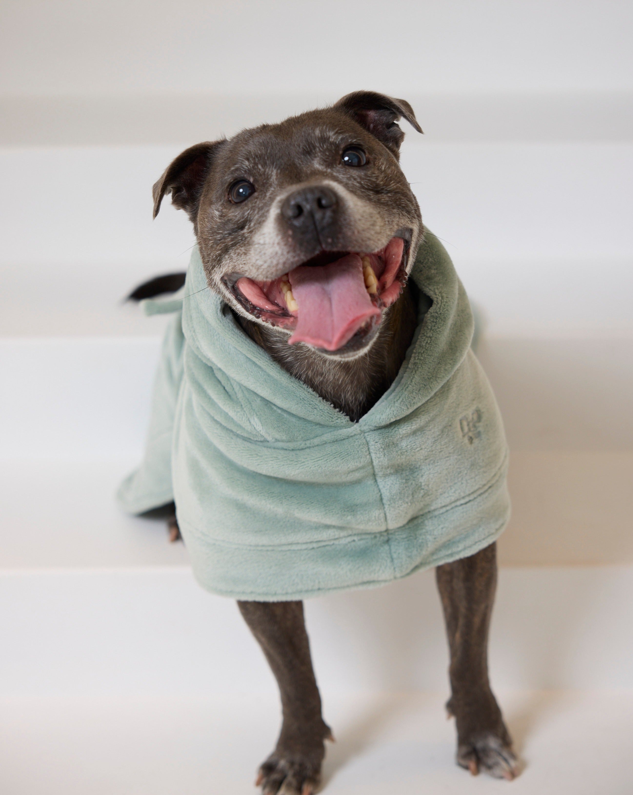 Darren and Phillip calming dog robe.