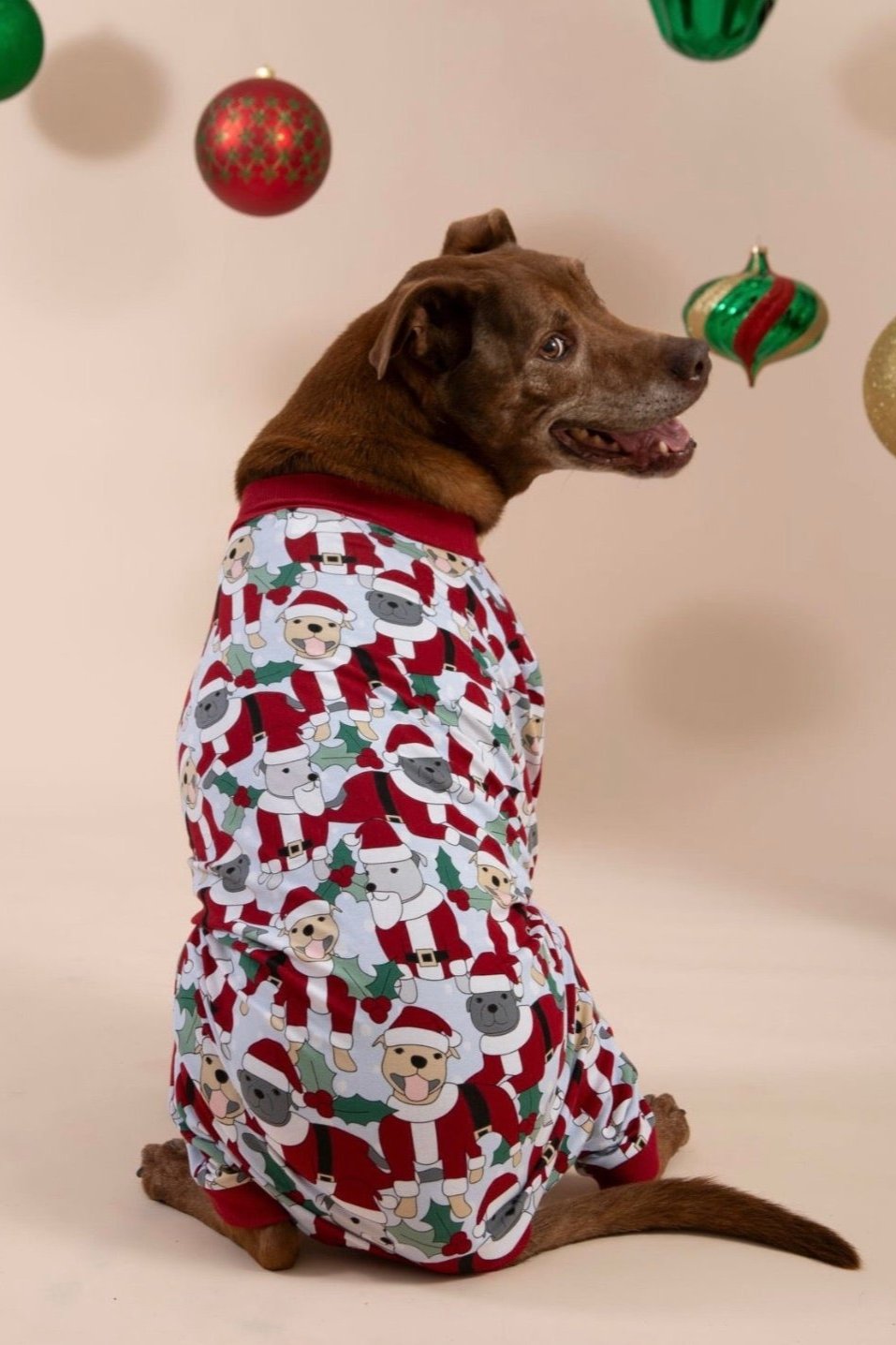 Santa Paws Dog Onesie