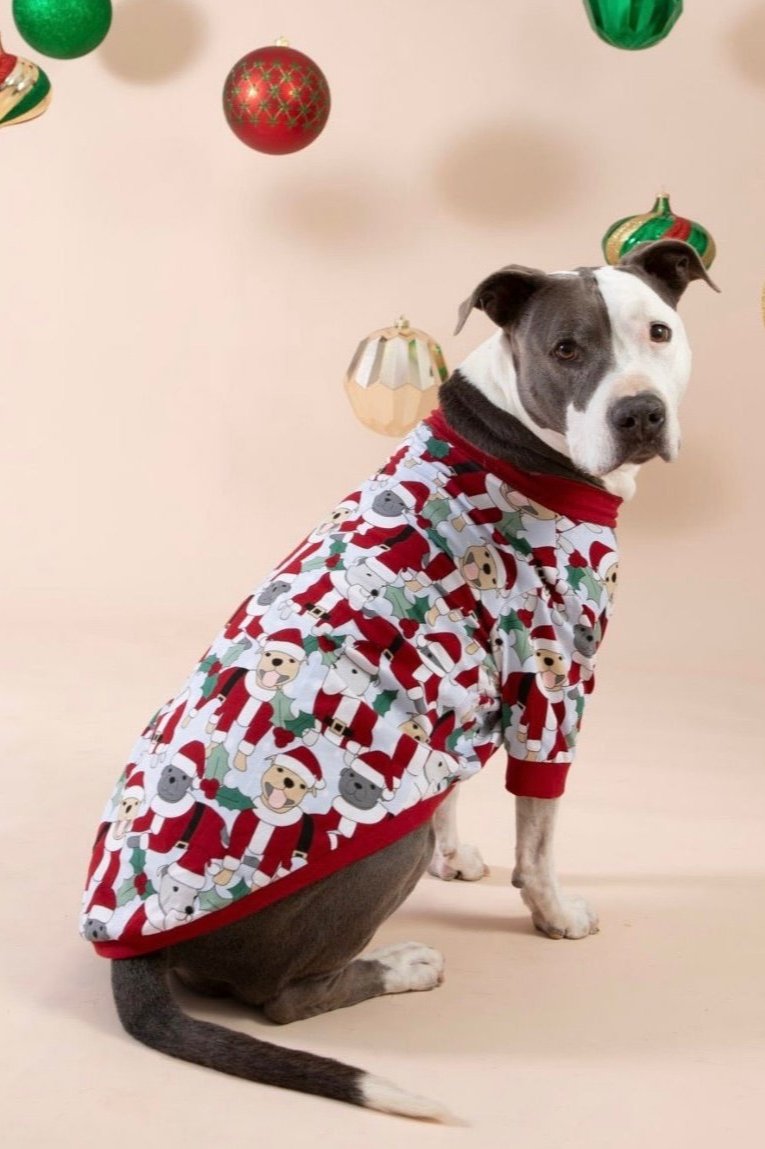 Santa Paws Dog Tee