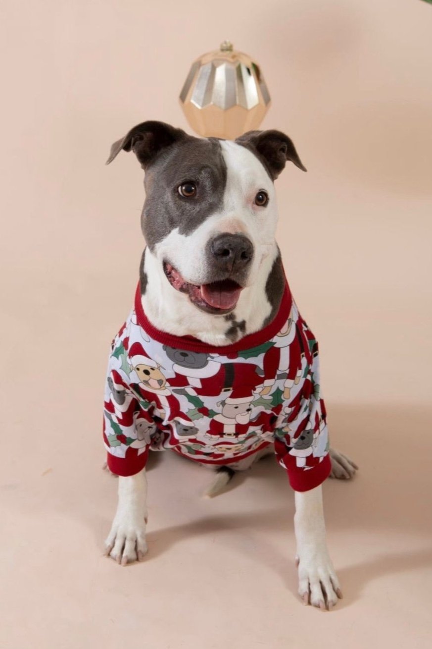 Santa Paws Dog Tee