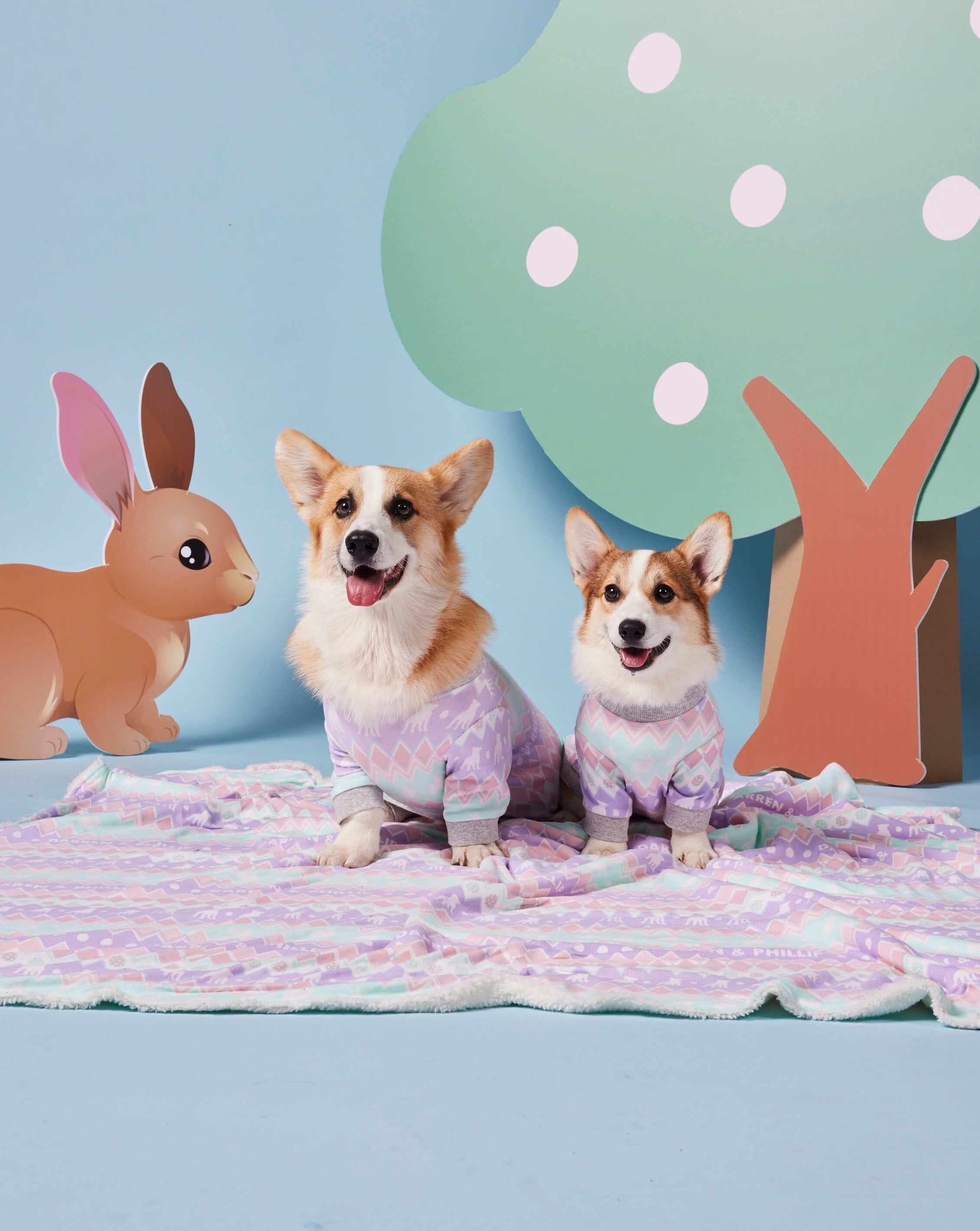 Two dogs on an Easter blanket from Darren and Phillip.